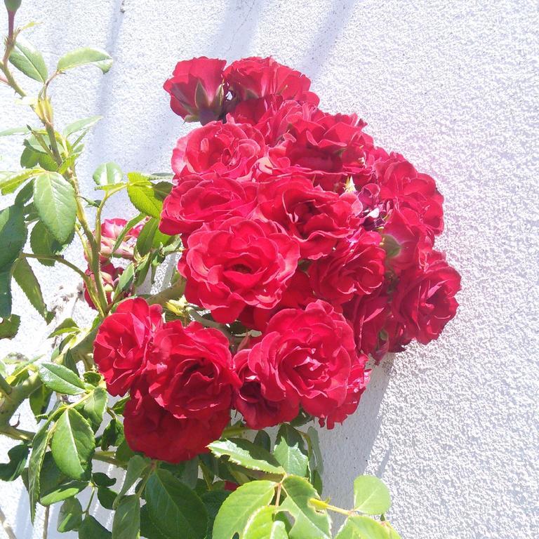 سانتا كلارا أفيلها Herdade Do Azinhal المظهر الخارجي الصورة