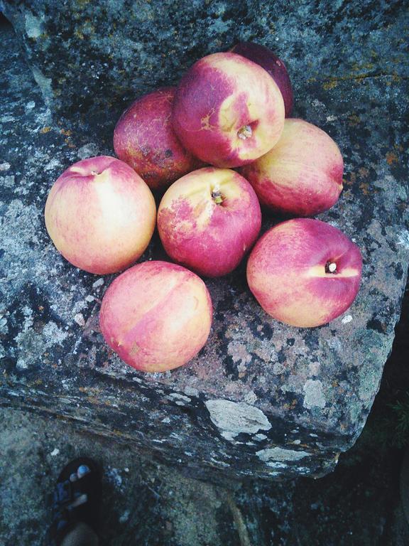 سانتا كلارا أفيلها Herdade Do Azinhal المظهر الخارجي الصورة