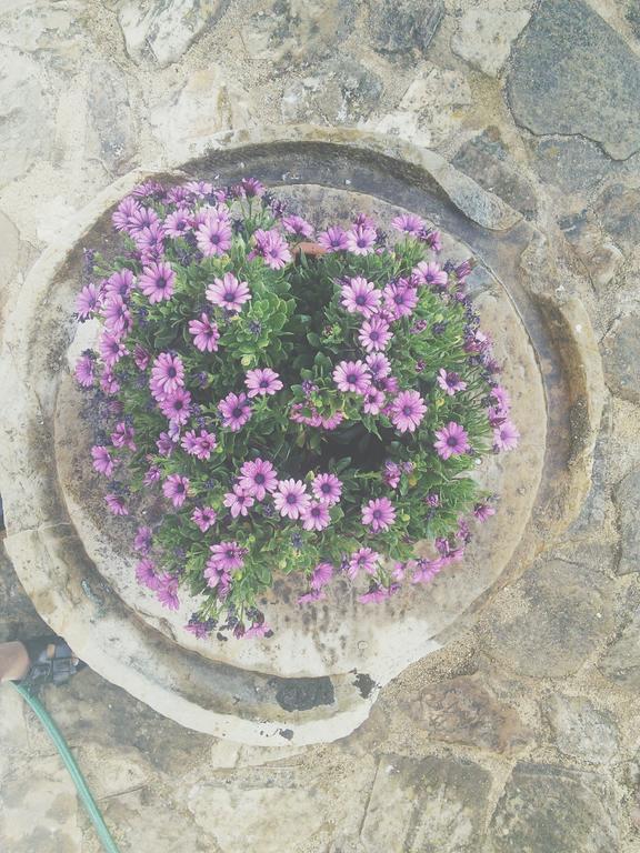 سانتا كلارا أفيلها Herdade Do Azinhal المظهر الخارجي الصورة